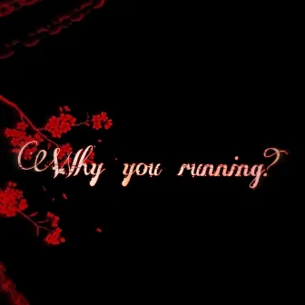 Why You Running? by Bink Dusty