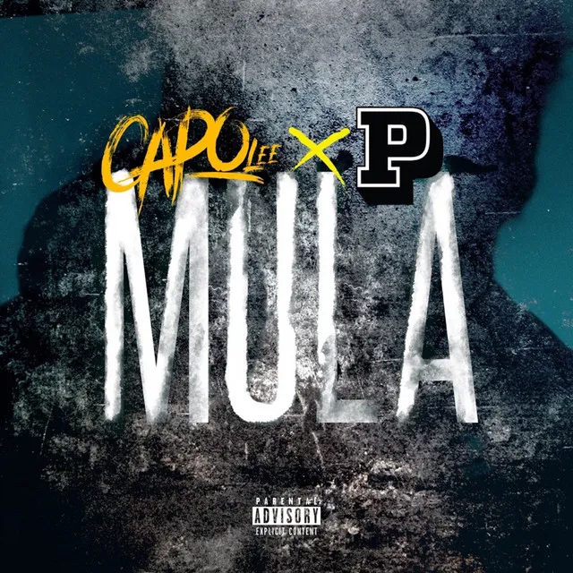 Mula