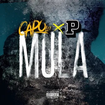 Mula by Capo Lee