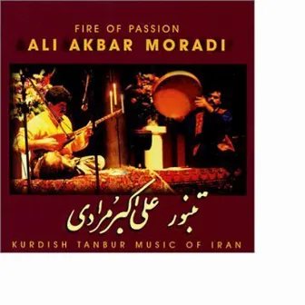 Fire Of Passion by Ali Akbar Moradi