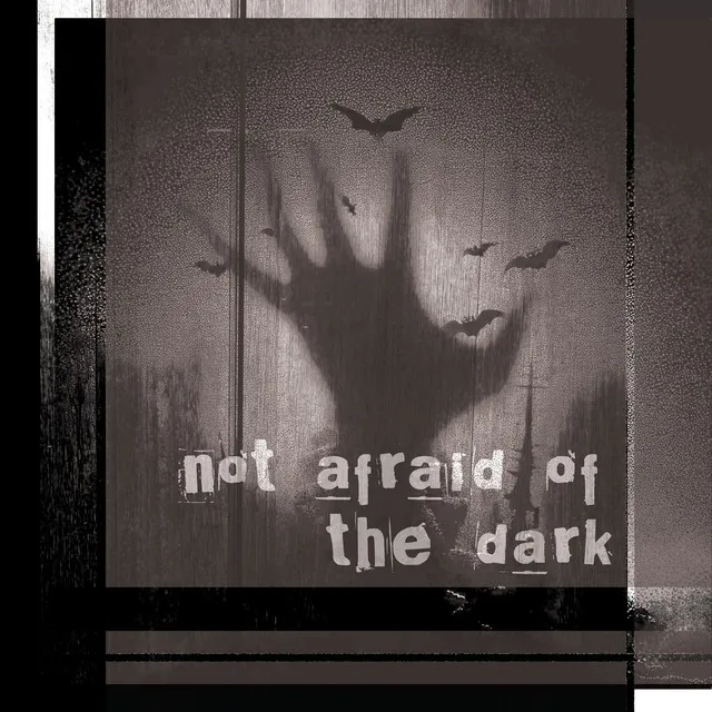 Not Afraid Of The Dark