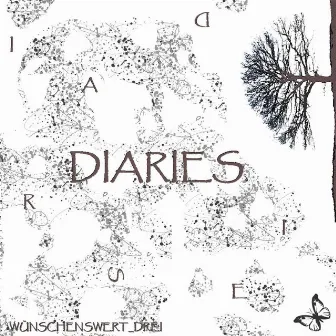 Diaries (Copy) by Thommy Fusion