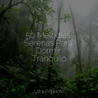 50 Melodías Serenas Para Dormir Tranquilo by Musica Meditaction