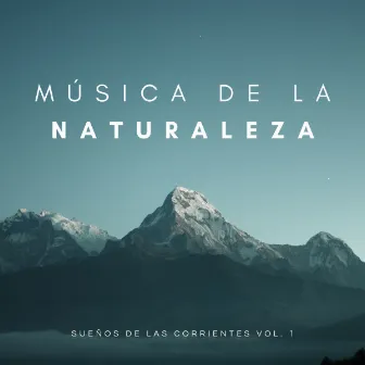 Música De La Naturaleza: Sonidos Del Agua Del Rio Vol. 1 by Música para Cocinar