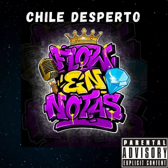 Chile Desperto by 