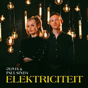 Elektriciteit by Paul Sinha