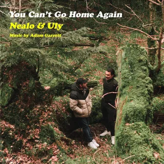 You Can’t Go Home Again by Unknown Artist