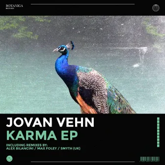 Karma EP by Jovan Vehn