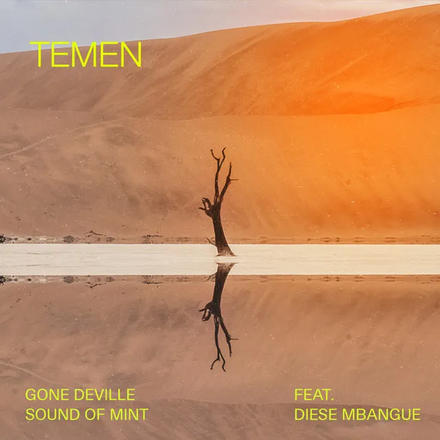 Temen - Instrumental Mix