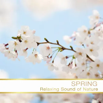 Spring by Nature Orchestra