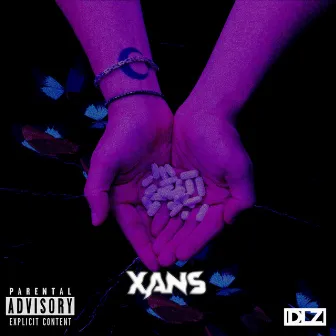 Xans by ADN