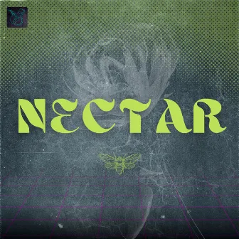 Nectar by Novek Garcia