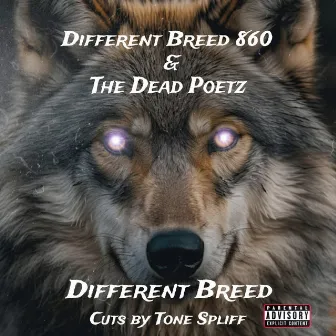 DIFFERENT BREED by Different Breed 860