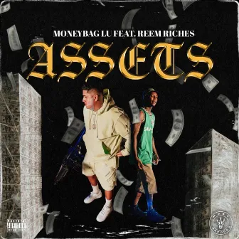 ASSETS by MoneyBagLu