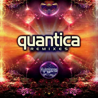 Remixes by Quantica