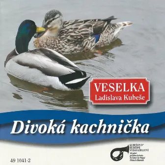 Divoká Kachnička by Veselka Ladislava Kubeše