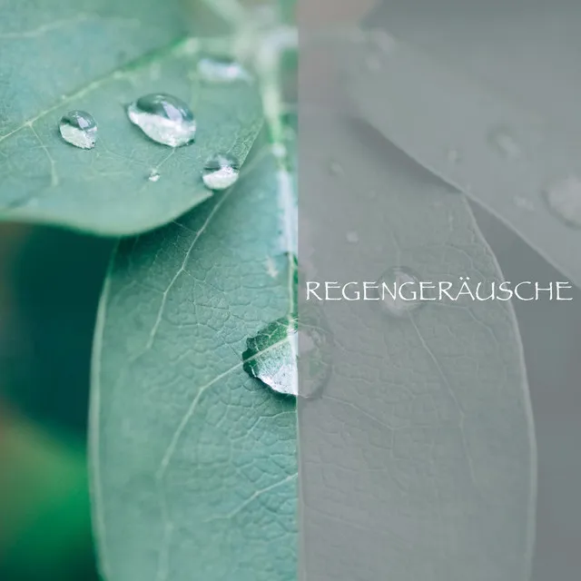 Regen - Tiefschlaf