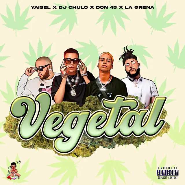 Vegetal