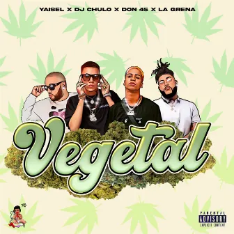 Vegetal by El Don 45