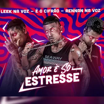 Amor É Só Estresse by Leek na Voz