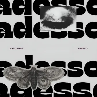 Adesso by Baccaman