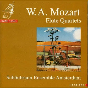 Mozart: Flute Quartets by Schönbrunn Ensemble Amsterdam