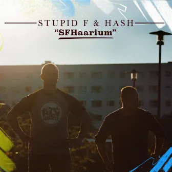 SFHaarium by Hash