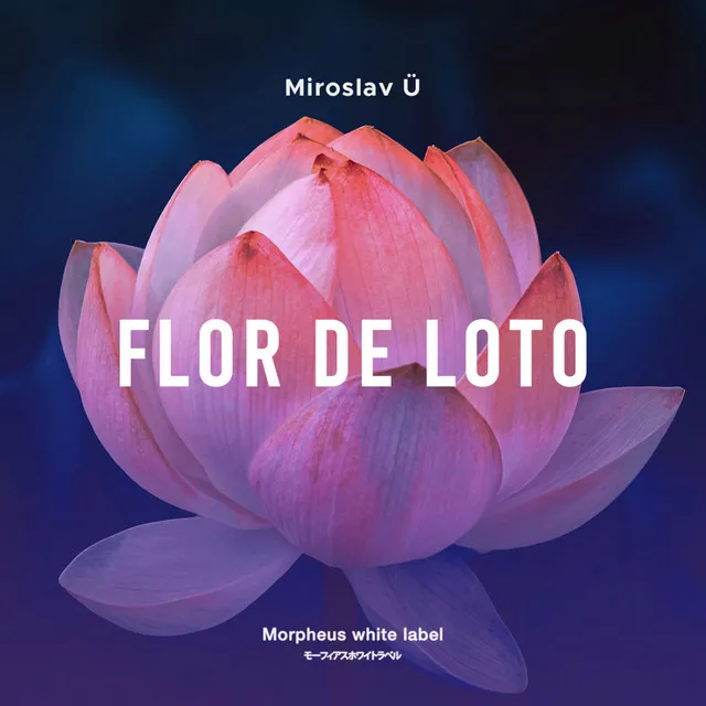 Flor De Loto - Original Mix