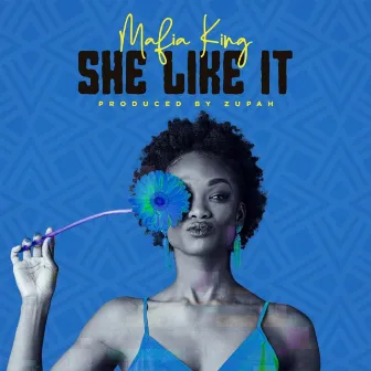 She Like It by Mafia King