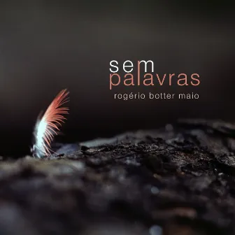 SEM PALAVRAS by Rogério Botter Maio