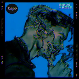 Capo by ghettobirds