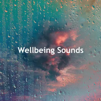 Wellbeing Sounds by Unknown Artist