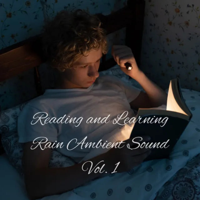 Reading and Learning Rain Ambient Sound Vol. 1