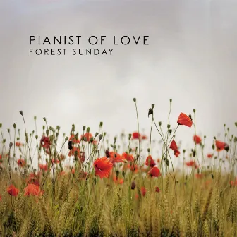 Forest Sunday by Pianist of Love