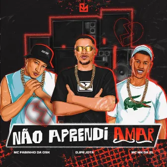 NÃO APRENDI AMAR by DJPEJOTA