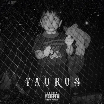 Taurus by Kitt Davis