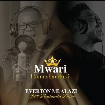 Mwari Hamushanduki by Everton Mlalazi