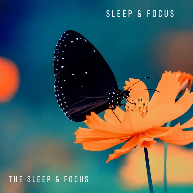 Sleep & Focus