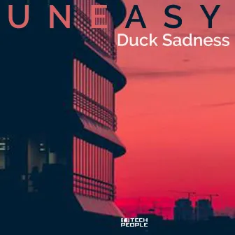 Duck Sadness by Unknown Artist