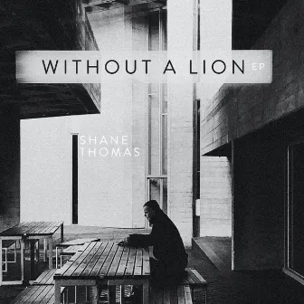 Without a Lion by Shane Thomas