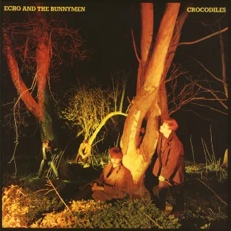 Crocodiles (Expanded; 2007 Remaster) by Echo & the Bunnymen