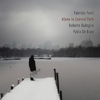 Alone in Central Park by Fabrizio Furci