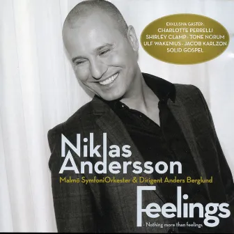 Feelings by Niklas Andersson