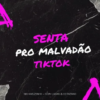 Senta pro Malvadão Tiktok by Mc Fazano