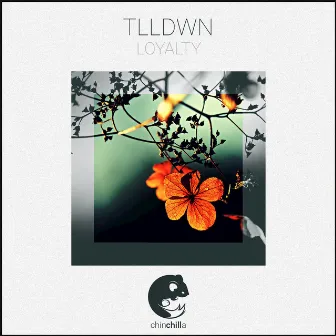 Loyalty by TLLDWN