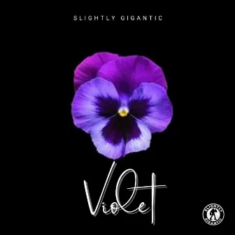 Violet by Slightly Gigantic