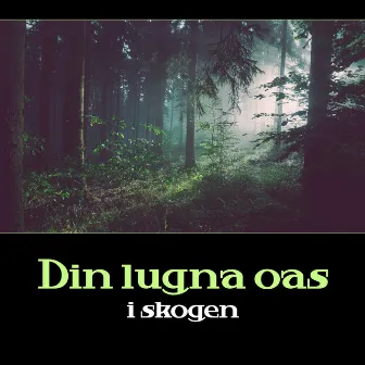 Din lugna oas i skogen - Ljud av fåglar, flod och natt, Minska stress, Motion yoga och tai chi, Meditation och studie by Lugnt naturparadis