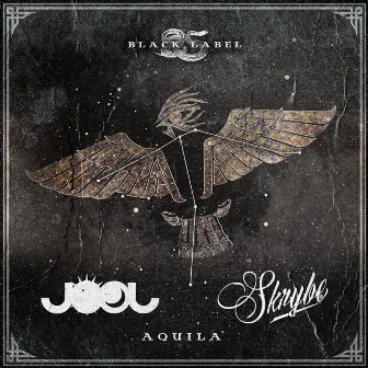 Aquila by JOOL