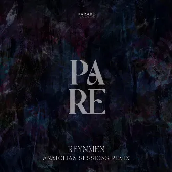 Pare (Anatolian Sessions Remix) by Anatolian Sessions