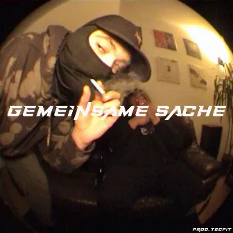 Gemeinsame Sache by Lui B.